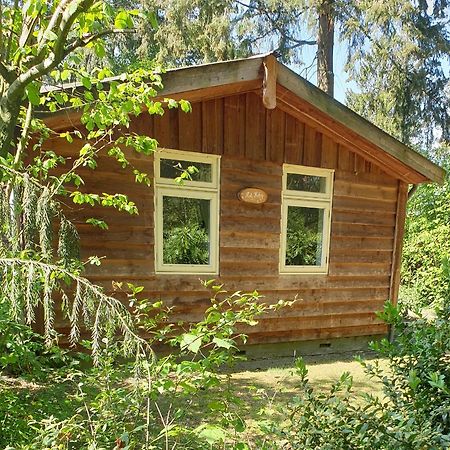 Villa De Kleine Kriemelkuil à Ermelo Extérieur photo